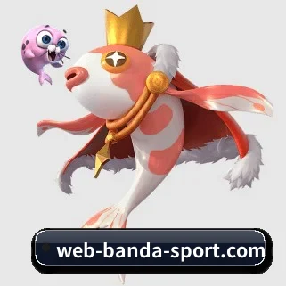 半岛综合 APP